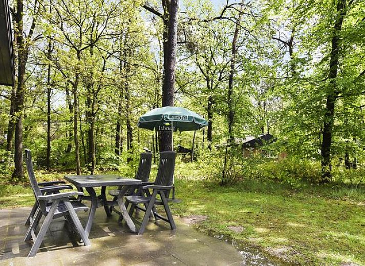 Unterkunft 320178 - Bungalow Veluwe - Heideheuvel | 4-persoons bungalow | 4B