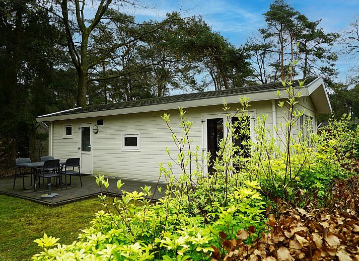 Guest house 320192 - Holiday property Veluwe - Unique 4