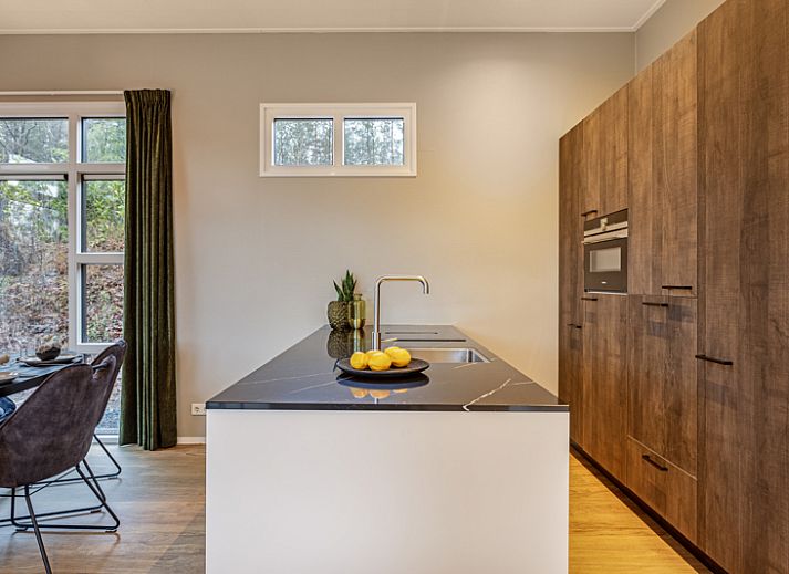 Belverdere 4-person vacation home in Beekbergen, Veluwe, Gelderland with modern veranda and green surroundings.