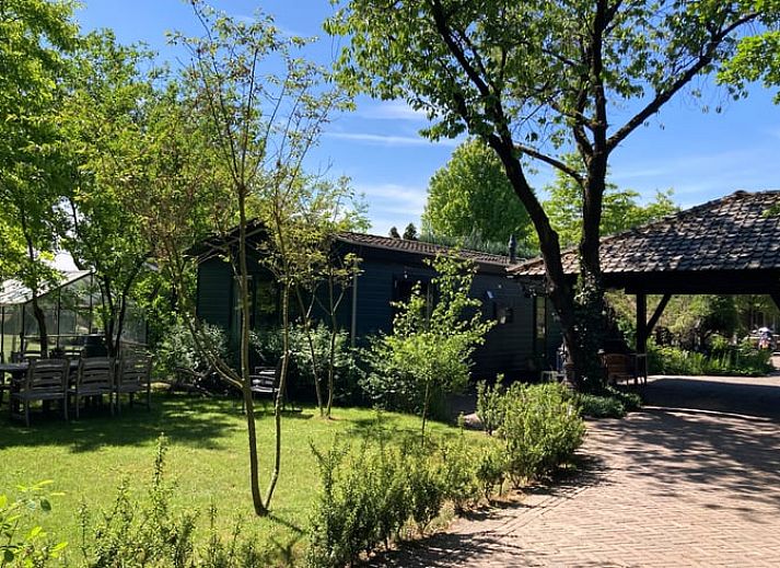 Guest house 320403 - Holiday property Veluwe - Vakantiehuisje in Harskamp