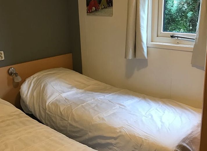 Guest house 320403 - Holiday property Veluwe - Vakantiehuisje in Harskamp