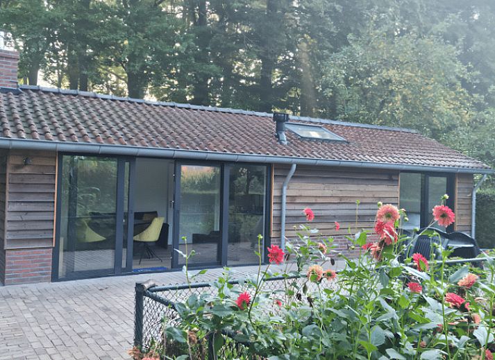 Gemuetliches Ferienhaus in Harskamp, Veluwe, umgeben von Natur und Blumenpracht, ideal fuer einen entspannten Aufenthalt in Gelderland.