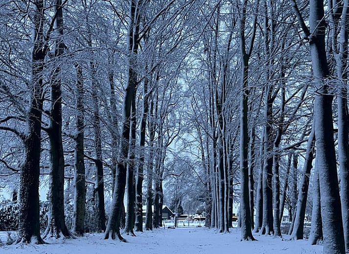 Ferienhaus in Harskamp auf der Veluwe, ein Ferienhaus inmitten der Natur in Gelderland mit einer sonnigen Terrasse und modernen Glasschiebetueren.