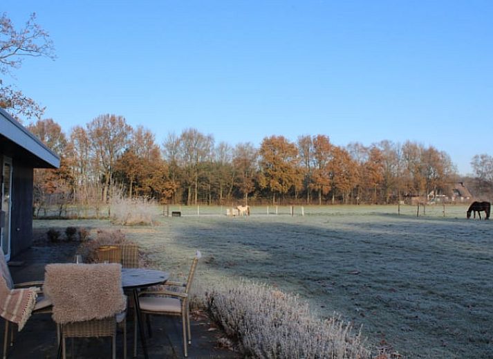 Guest house 320504 - Chalet Veluwe - Vakantiehuisje in Kootwijk