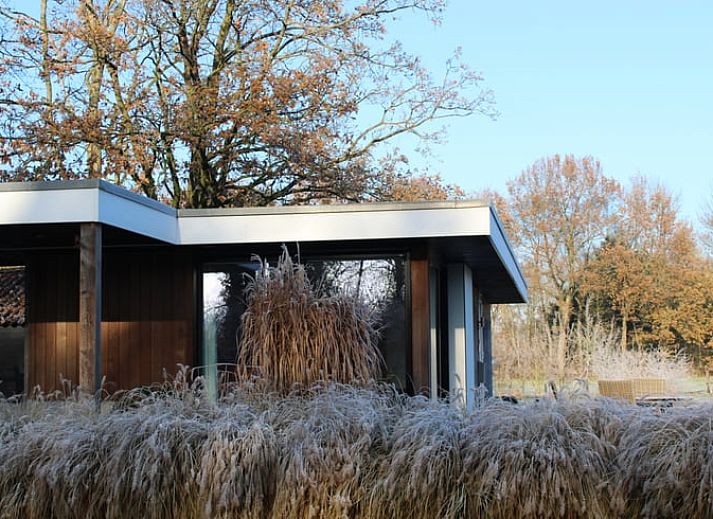 Guest house 320504 - Chalet Veluwe - Vakantiehuisje in Kootwijk
