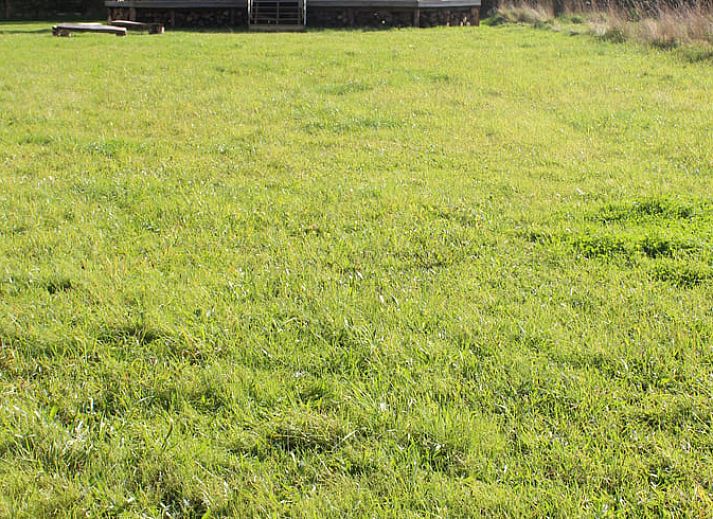 Unterkunft 320506 - Ferienhaus Veluwe - Vakantiehuis in Kootwijk