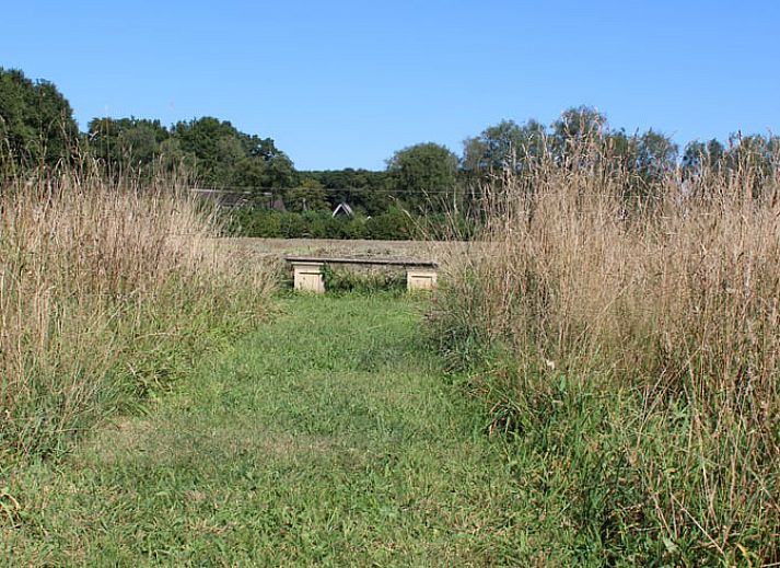 Unterkunft 320506 - Ferienhaus Veluwe - Vakantiehuis in Kootwijk