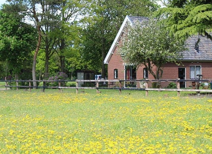 Verblijf 320523 • Bungalow Veluwe • Zandzegge Extra (4E)