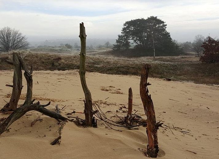 Gezellige binnenruimte van Huisje in Kootwijk, Veluwe, met houten interieur en eethoek.