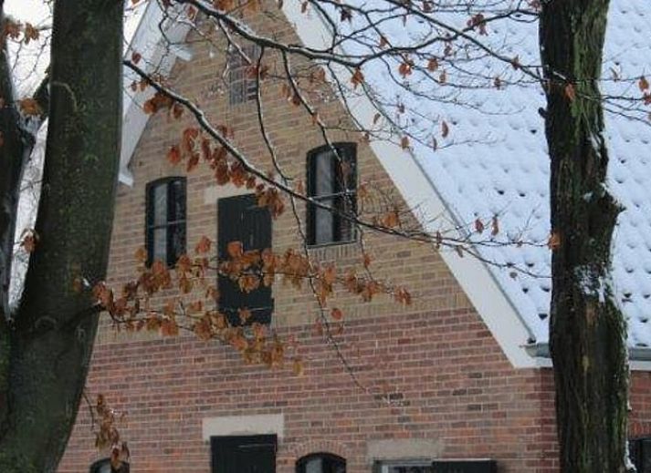 Gezellige binnenruimte van Huisje in Kootwijk, Veluwe, met houten interieur en eethoek.