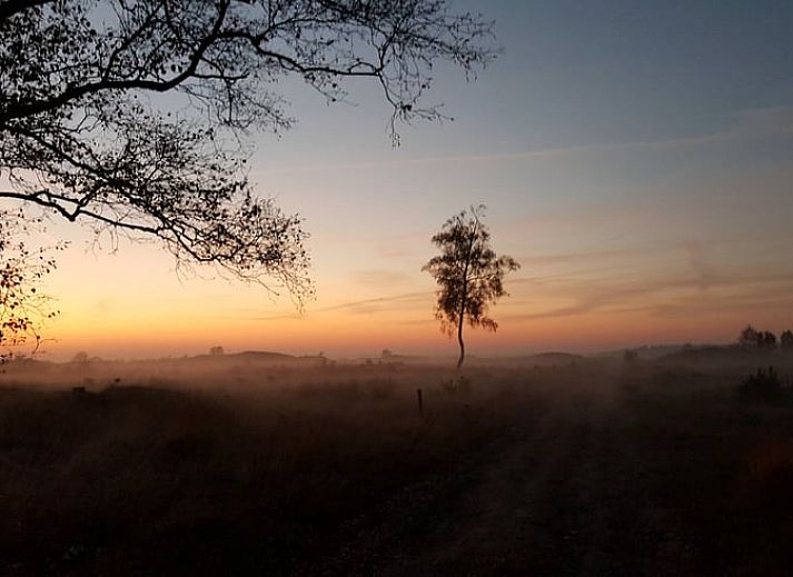 Avond kampvuur bij Huisje in Kootwijk, vakantiehuis in Veluwe, Gelderland.
