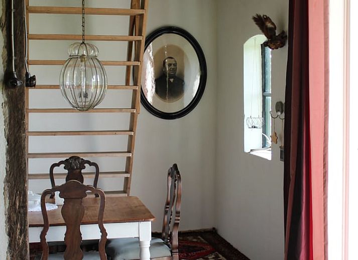 Sneeuwlandschap met pony bij Huisje in Kootwijk, Veluwe, ideaal voor winterse wandelingen.