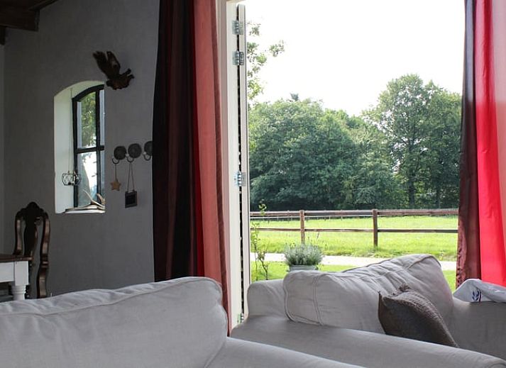 Sneeuwlandschap met pony bij Huisje in Kootwijk, Veluwe, ideaal voor winterse wandelingen.