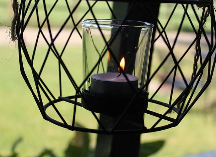 Sneeuwlandschap met pony bij Huisje in Kootwijk, Veluwe, ideaal voor winterse wandelingen.