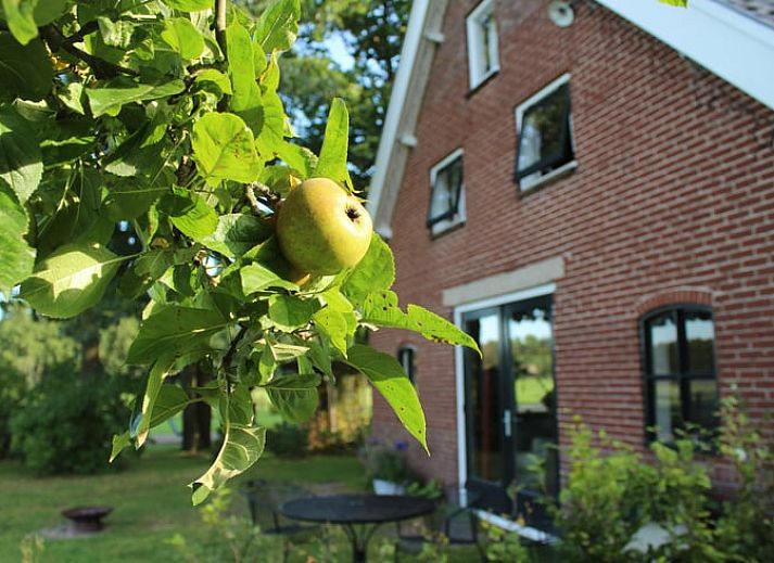 Sneeuwlandschap met pony bij Huisje in Kootwijk, Veluwe, ideaal voor winterse wandelingen.