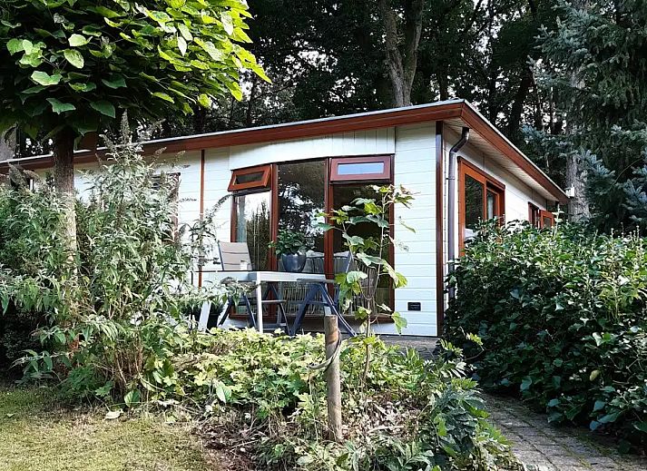 Unterkunft 320530 - Chalet Veluwe - Chalet 2
