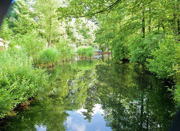 Guest house 320536 - Bungalow Veluwe - Vakantiepark de Berkenhorst 2