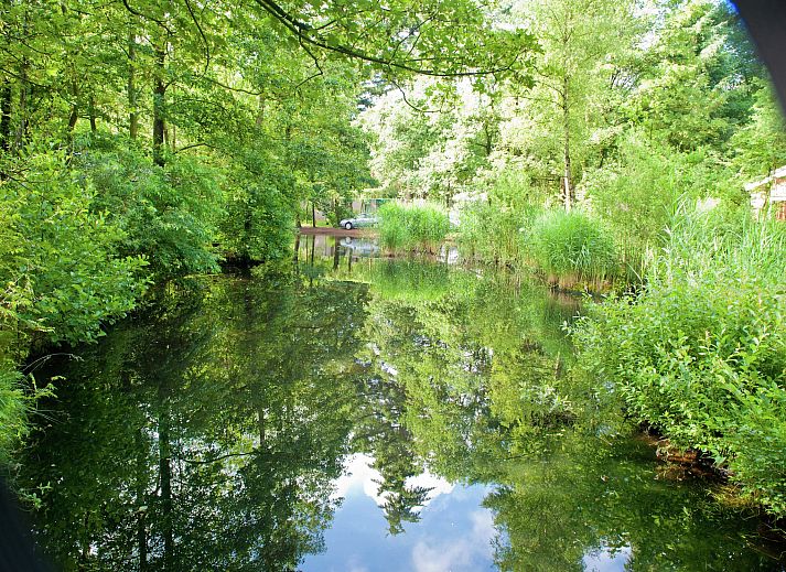 Verblijf 320537 - Bungalow Veluwe - Vakantiepark de Berkenhorst 6
