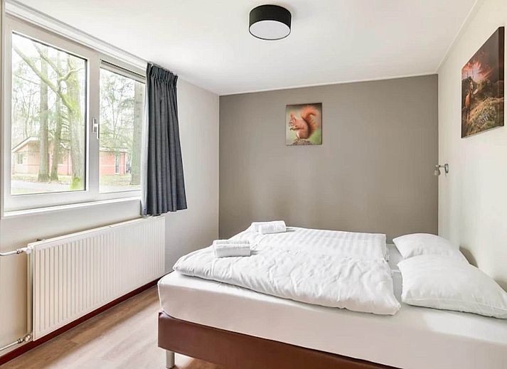 Unterkunft 320548 - Bungalow Veluwe - Vakantiepark de Berkenhorst 17