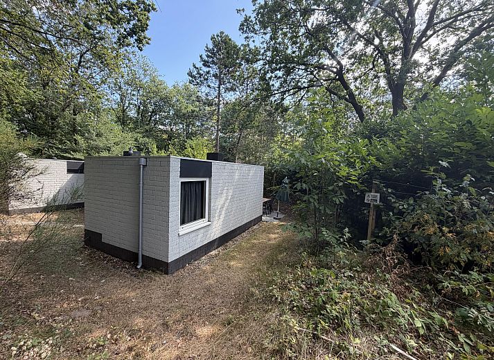 Unterkunft 320550 - Ferienhaus Veluwe - Geschakelde woning in Kootwijk