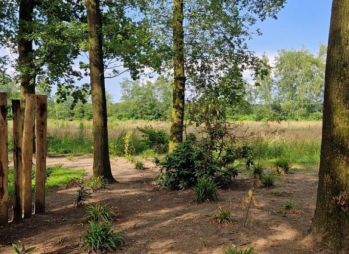 Guest house 3206107 - Chalet Veluwe - In de bosrand Wood 386 Bospark Ede