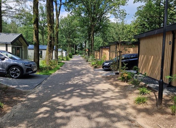 Guest house 3206107 - Chalet Veluwe - In de bosrand Wood 386 Bospark Ede