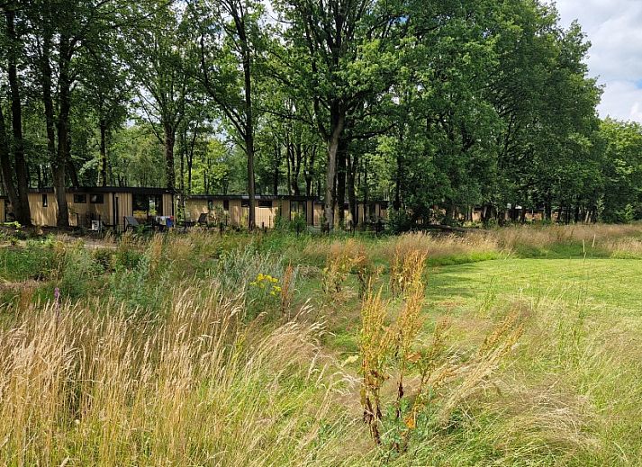 Guest house 3206107 - Chalet Veluwe - In de bosrand Wood 386 Bospark Ede