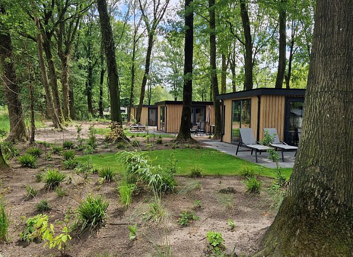 Guest house 3206107 - Chalet Veluwe - In de bosrand Wood 386 Bospark Ede
