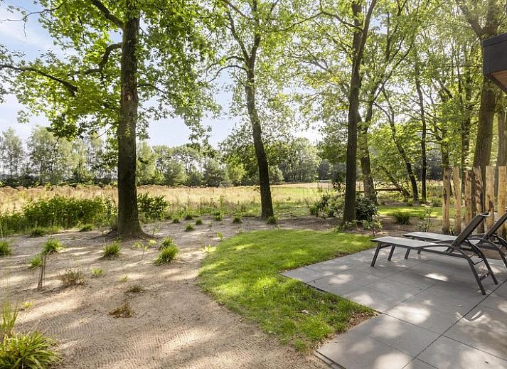 Module Wood 5 personen vakantiehuis in Ede Veluwe met houten gevel en terras in bosrijke omgeving.