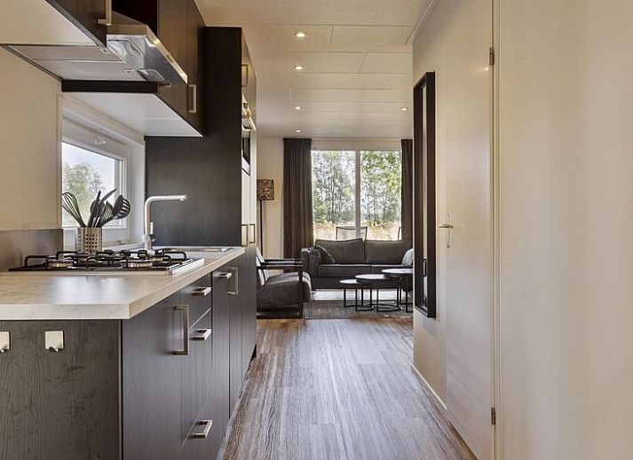 Terras van Module Wood 5 personen vakantieaccommodatie in Ede Veluwe met ligstoelen en groene omgeving.