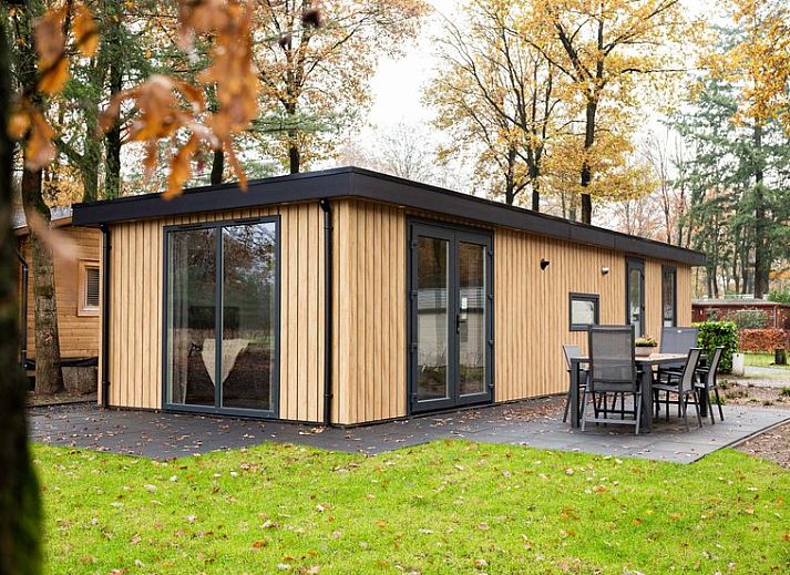 Module Wood 4 persons vacation home in Ede, Veluwe with modern wooden exterior and terrace in natural surroundings.