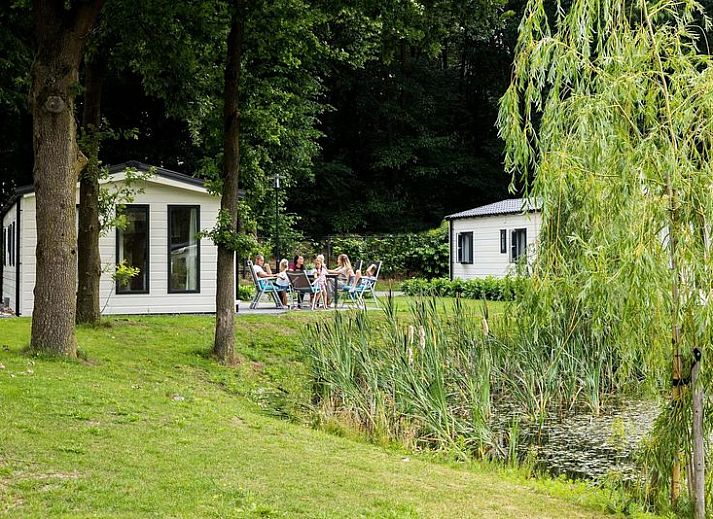 Ferienhaus fuer 6 Personen in Ede, Veluwe mit Terrasse am Wasser, ideal zum Entspannen in der Natur.