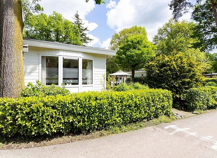Ferienwohnung fuer 3 Personen in Ede, Veluwe, Gelderland, umgeben von gruener Natur und ruhiger Lage.