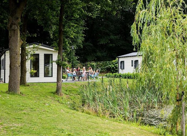 Guest house 3206168 - Holiday property Veluwe - Holiday home 5 personen