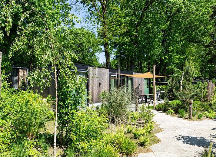Guest house 3206179 - Holiday property Veluwe - Veluwehoeve 4 personen