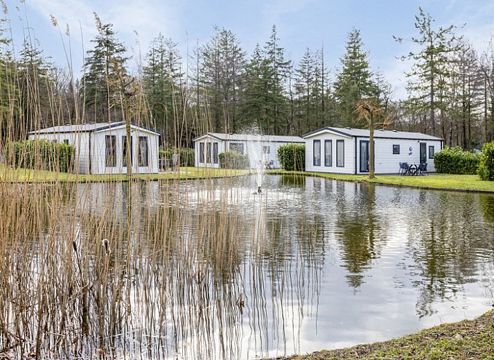 Guest house 3206187 - Holiday property Veluwe - Holiday home 4 personen