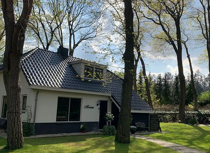 Guest house 3206202 - Holiday property Veluwe - Het Boshuis