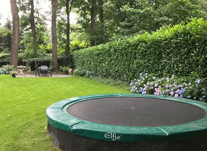 Guest house 3206202 - Holiday property Veluwe - Het Boshuis