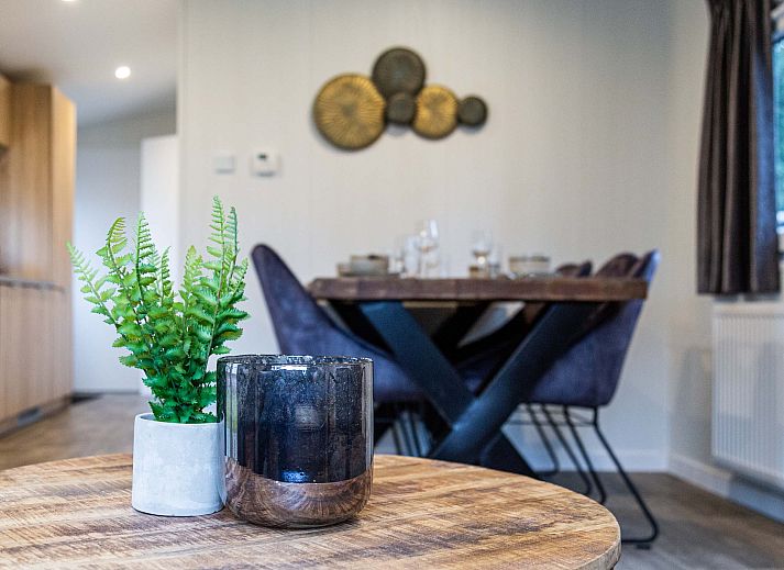 Modern bathroom in vacation home Luna, Ede, Veluwe, with shower and toilet.