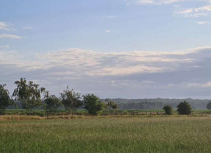 Charmantes Cottage in Ede, Veluwe, umgeben von Natur und Ruhe.
