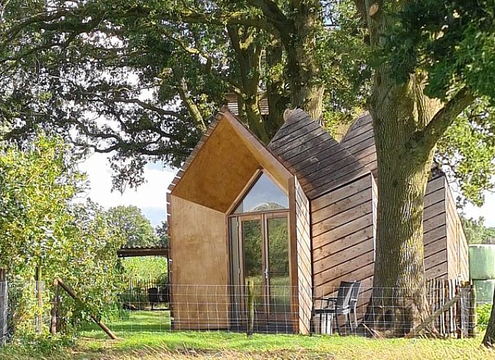 Blick auf gruene Felder beim Ferienhaus in Ede, Veluwe, Gelderland.