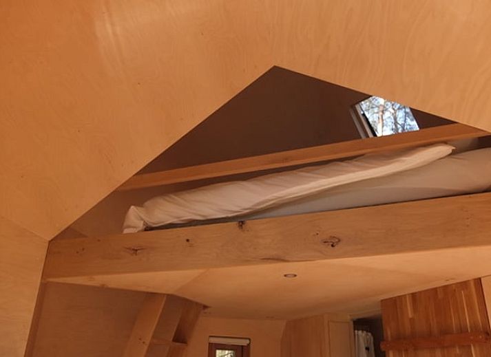 Blick auf gruene Felder beim Ferienhaus in Ede, Veluwe, Gelderland.