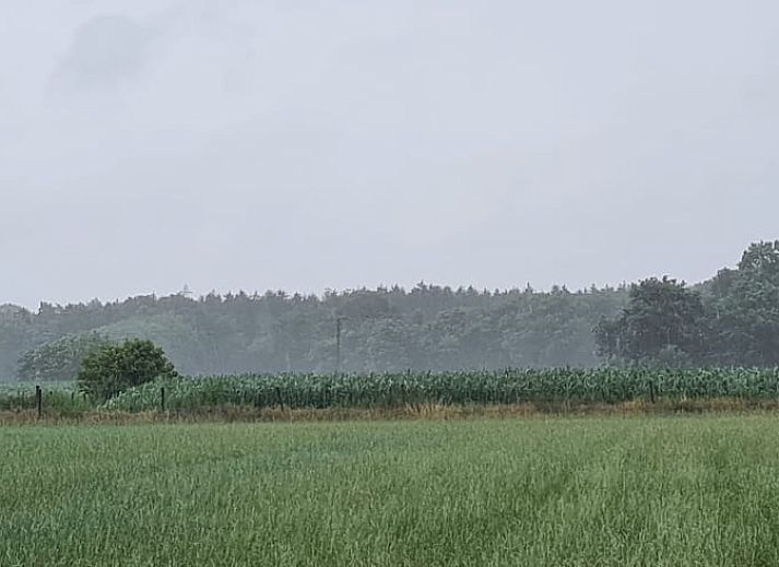 Ferienhaus in Ede, Veluwe, mit rustikaler Holzausstattung und natuerlicher Umgebung.