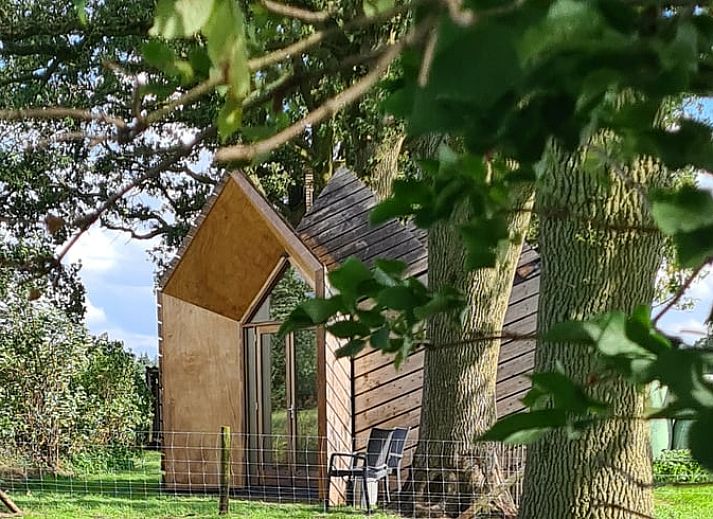 Ferienhaus in Ede, Veluwe, mit rustikaler Holzausstattung und natuerlicher Umgebung.