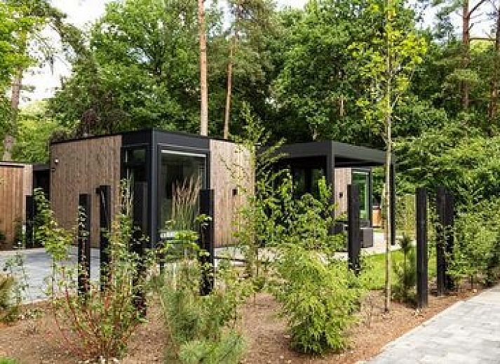 Unterkunft 320637 • Ferienhaus Veluwe • Veluwe Hoeve