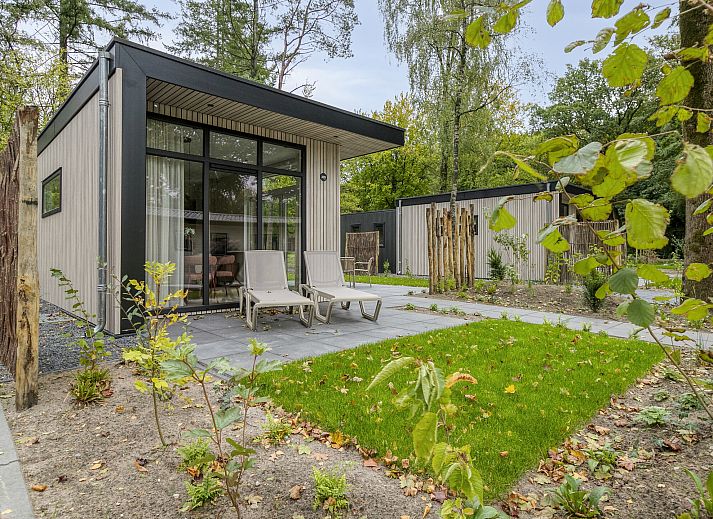 Auenansicht des Ferienhauses Wilgenhof in Ede, Veluwe, mit groer Terrasse und umliegender Natur.