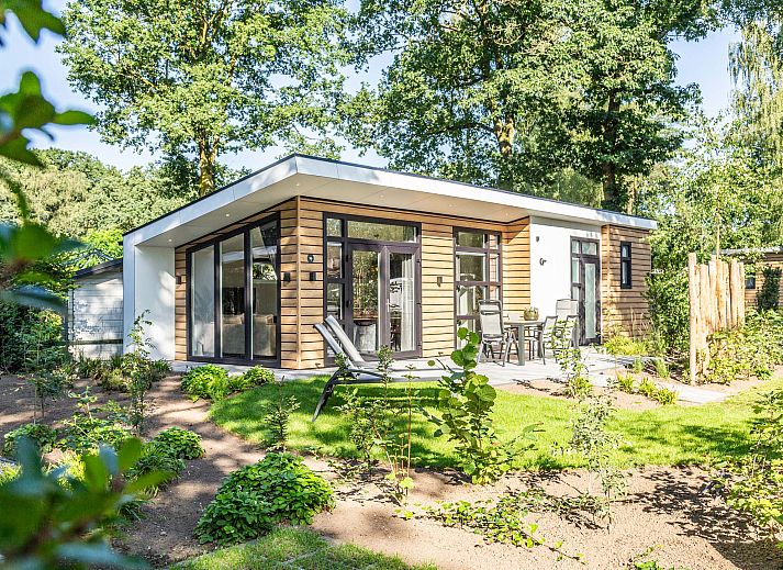 Genieen Sie Wellness im Whirlpool in der Boslodge Silva in Ede, Veluwe, Gelderland.