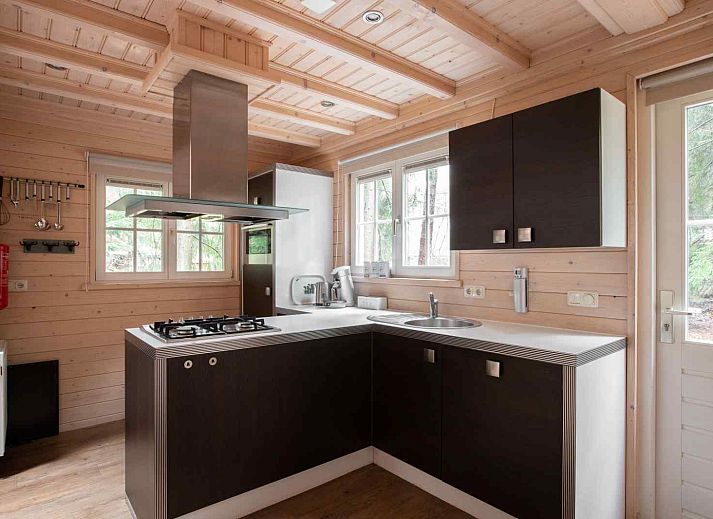 DG1298 Ferienhaus in Emst, Veluwe mit grosser Terrasse und Waldgebiet.