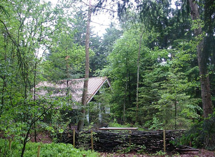 DG1298 Ferienhaus in Emst, Veluwe mit grosser Terrasse und Waldgebiet.