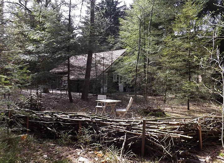 Aussenansicht des Ferienhauses DG1298 in Emst, Veluwe, umgeben von Natur.